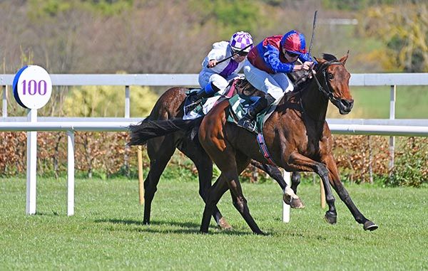 展翼遨飛能否成古摩亞最大黑馬?