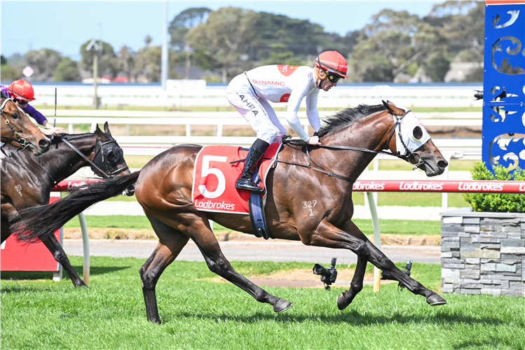 2024年11月2日維多利亞打吡賽馬日九場賽事精選
