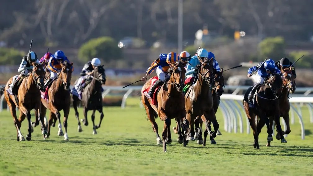 2025年5月25日賽馬日（11場田草、A跑道），另加兩場愛爾蘭賽事推介