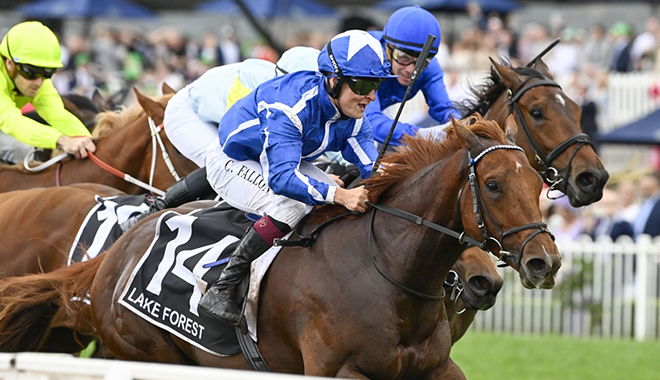 湖林麗城再度征戰澳洲