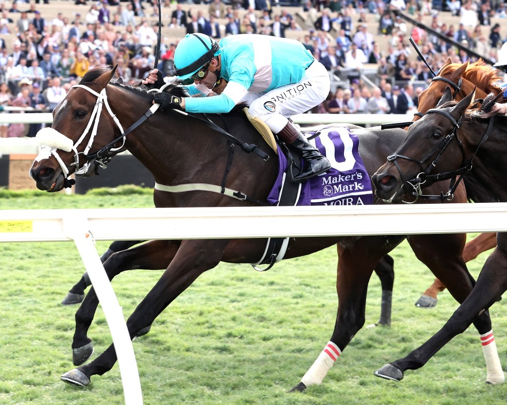 育馬者盃雌馬草地大賽，Moira力抗仙履奇夢三度目正直