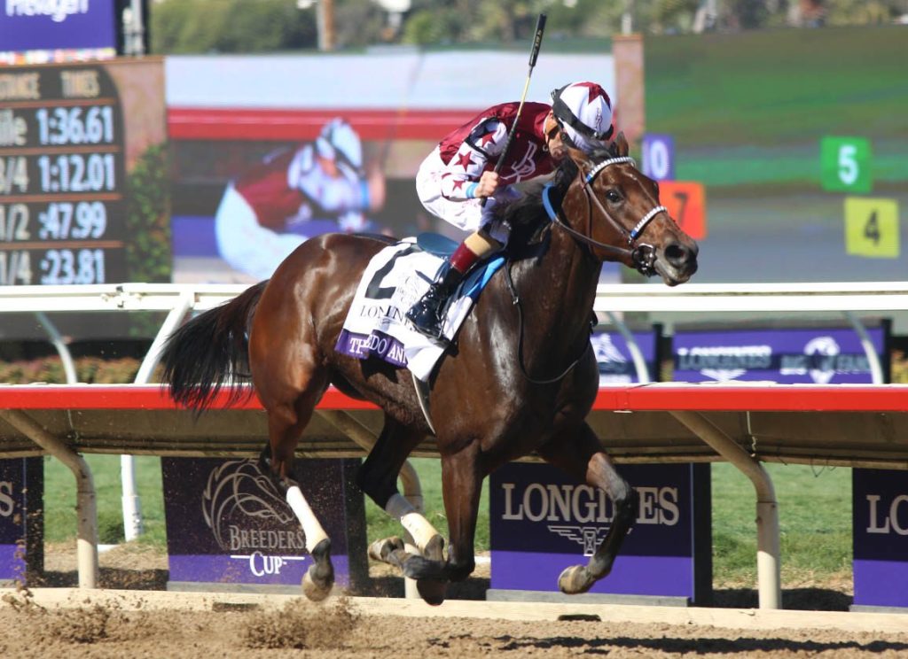 泥地女王Thorpedo Anna退役