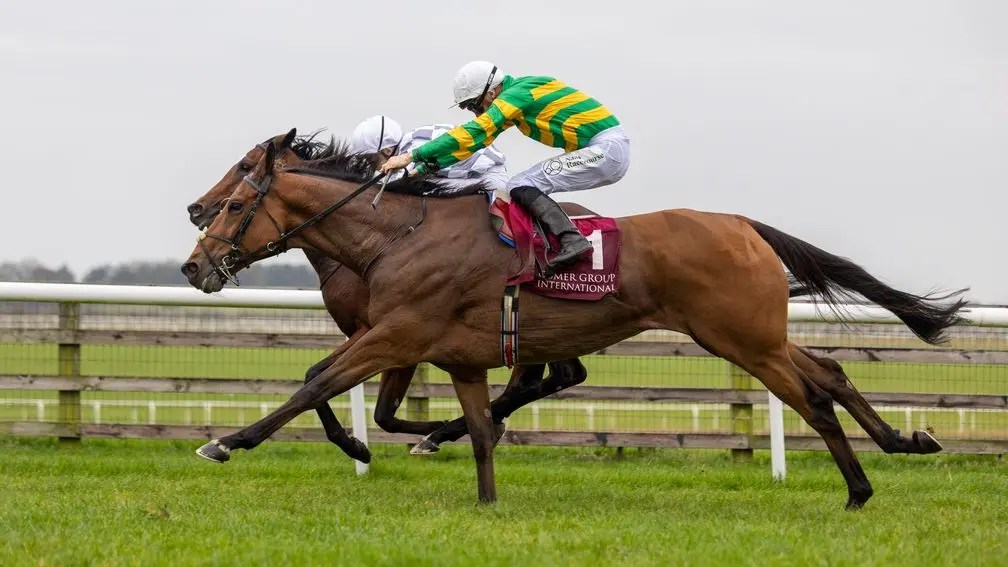 每日賽馬晚報（2024年11月4日），🇦🇺雪嶺土著退出墨爾本盃，🇮🇪恰妙事愛爾蘭大勝表列賽