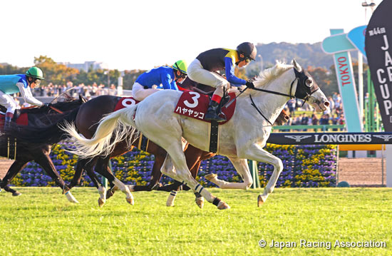 飛雪駒已抵達北國優駿，適當時候可以公開參觀