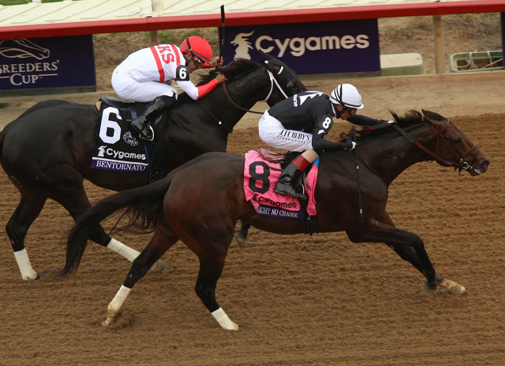 短途泥地賽單兵作戰Straight No Chaser