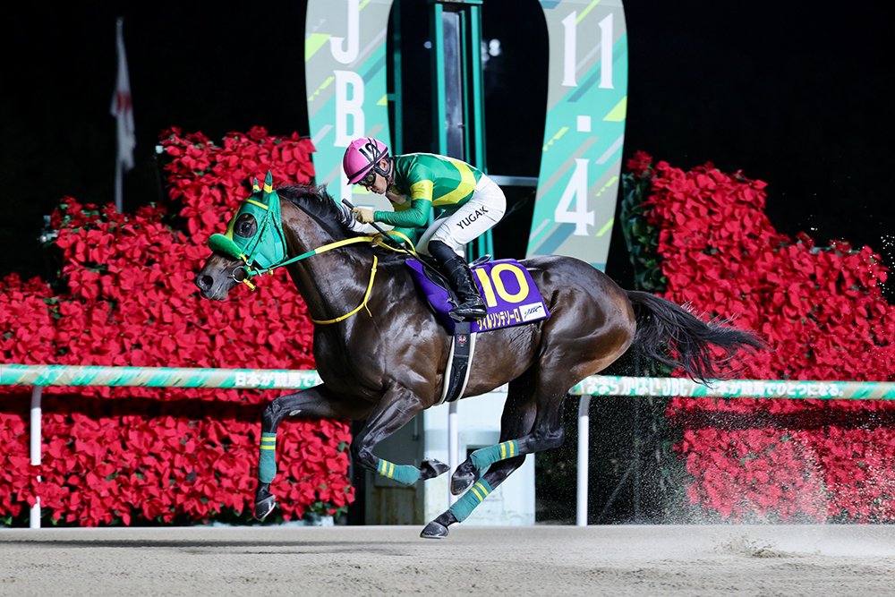 日本育馬場盃，Tagano Beauty稱霸短途，盈寶威神為騎師家鄉贏大賽