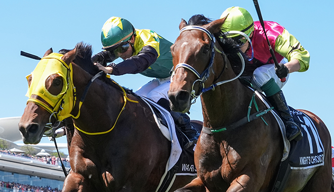 墨爾本盃總獎金達1000萬澳元，參賽馬匹獎金保底10萬澳元