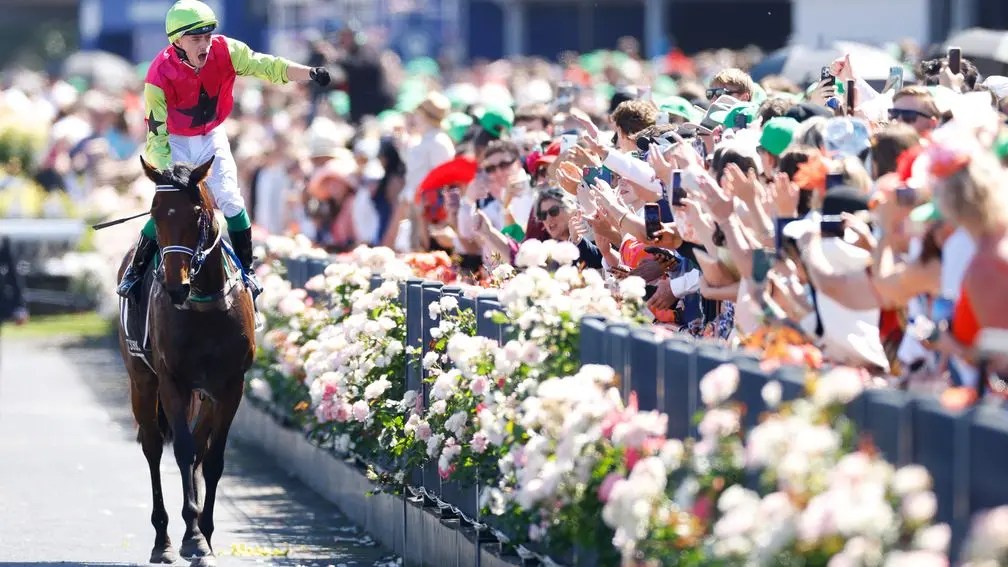 墨爾本盃，名爵特選大爆冷