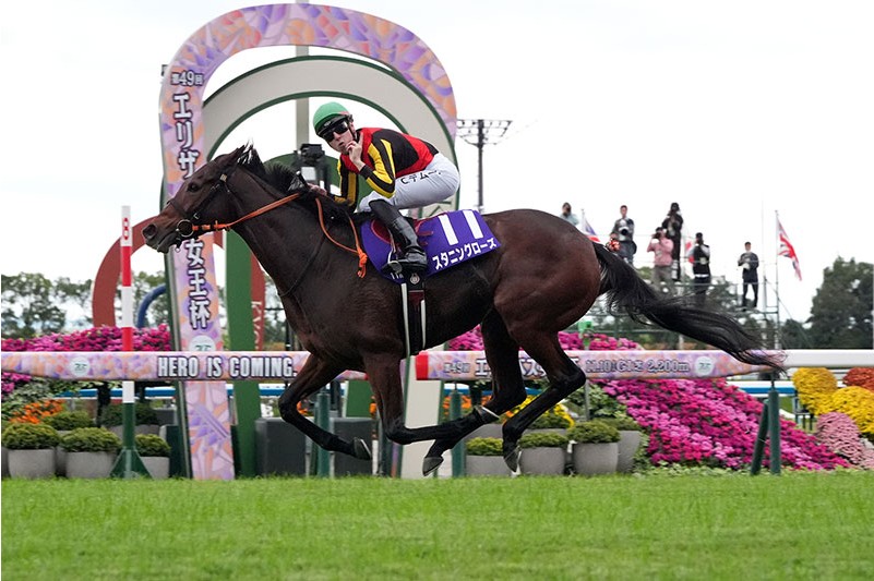 艷玫華彩能否應付有馬紀念賽明星陣容