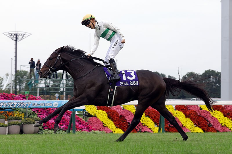 神志勇進定下秋季兩戰，傲蹄巴魯準備復出