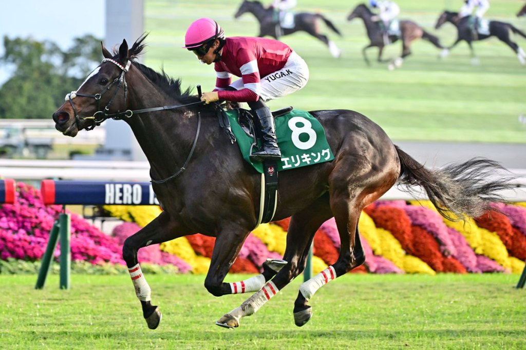 Eri King底可以走多遠