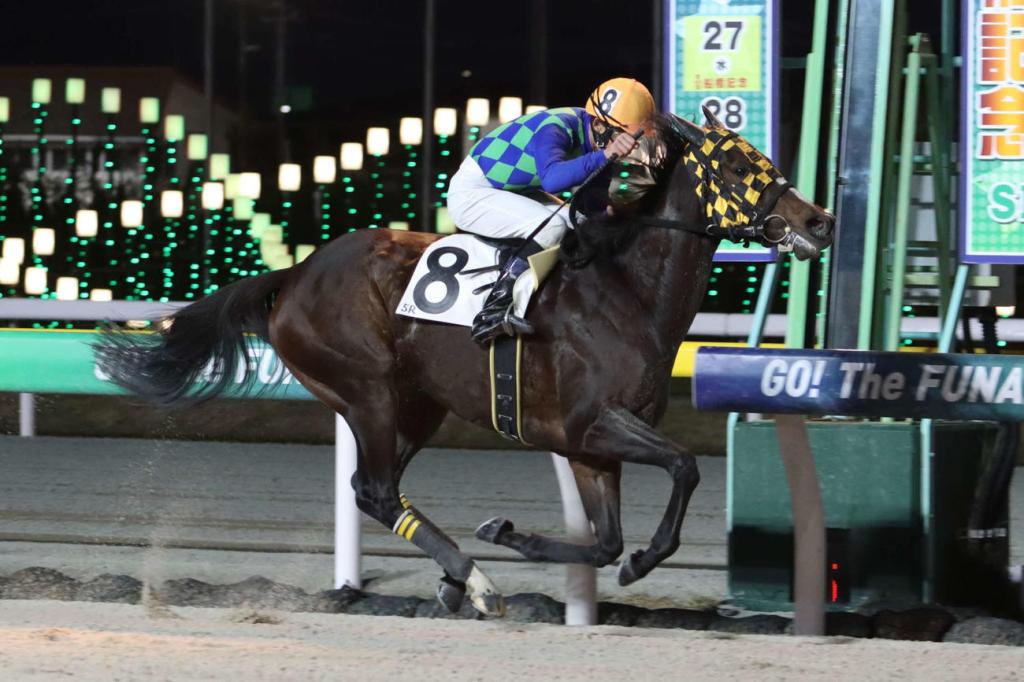 每日賽馬晚報(2024年11月29日),🇯🇵森泰斗最後一天比賽前開記者會,🇭🇰🇸🇦🇦🇪浪漫勇士改變遠征目標