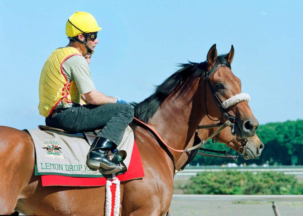 種馬檸檬小子離世