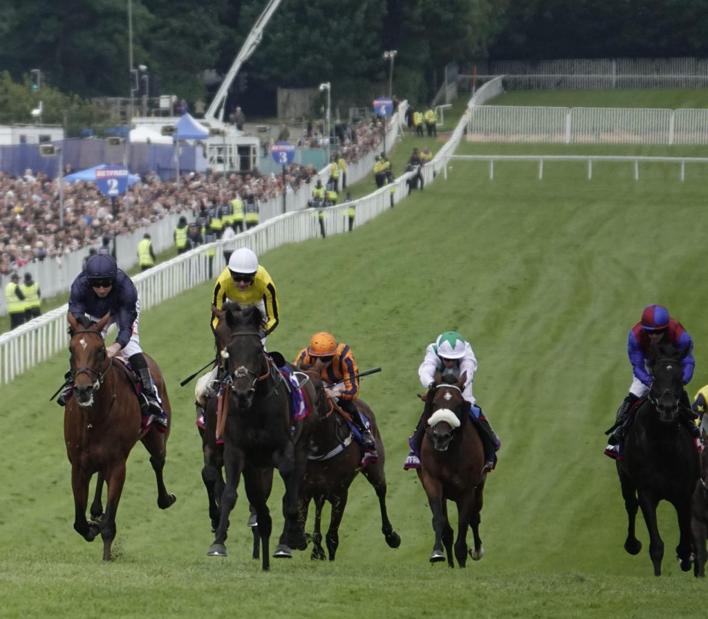 瘋狂問答答案公佈