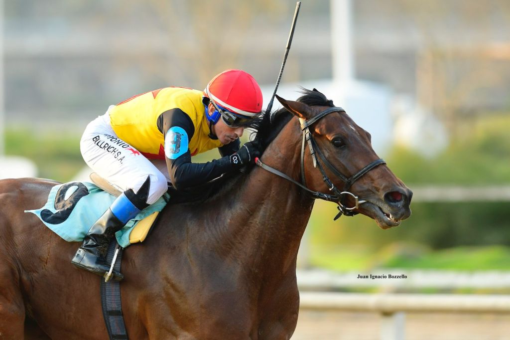 每日賽馬晚報(2024年12月12日),🇯🇵先見配三浦皇成,🇦🇷壓軸呼聲能否成神駒系南美兵目標?