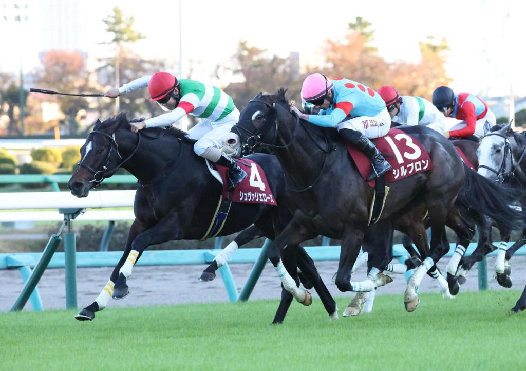 讓全澳停頓墨爾本盃對決