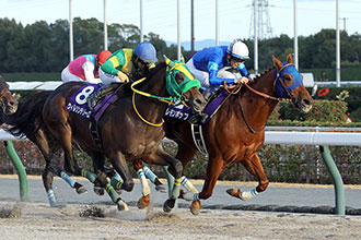 冠軍盃，清爽口味完美結局退役