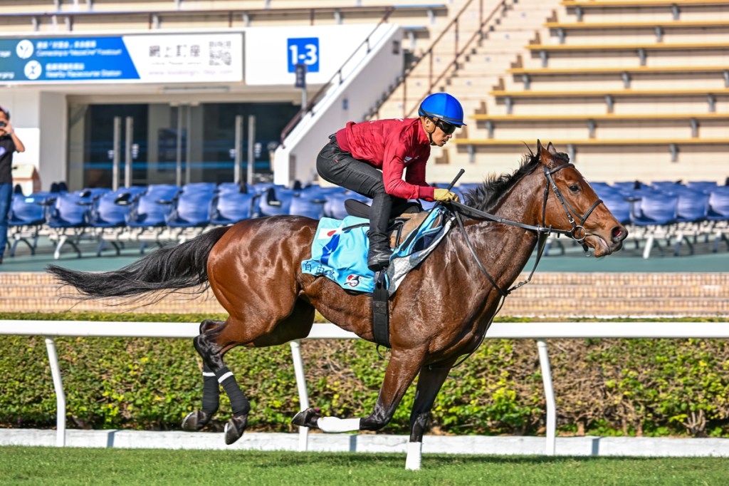 2024年12月8日賽馬日(10場田草、A跑道),萬眾期待的香港國際賽事特集