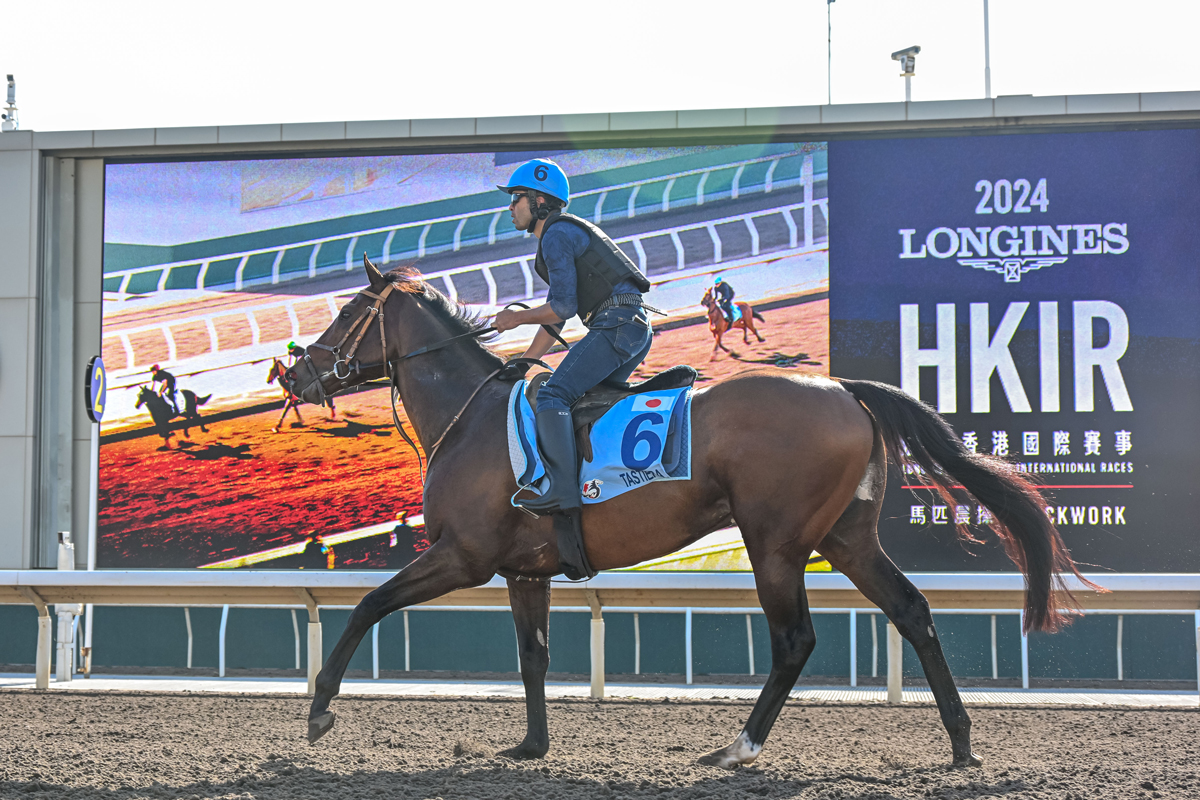 2025年4月27日賽馬日（10場田草、A跑道），冠軍賽馬日禁選大熱做膽特集– Flameracing