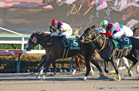 繼承馬主家族名駒血統的姬驪姐姐