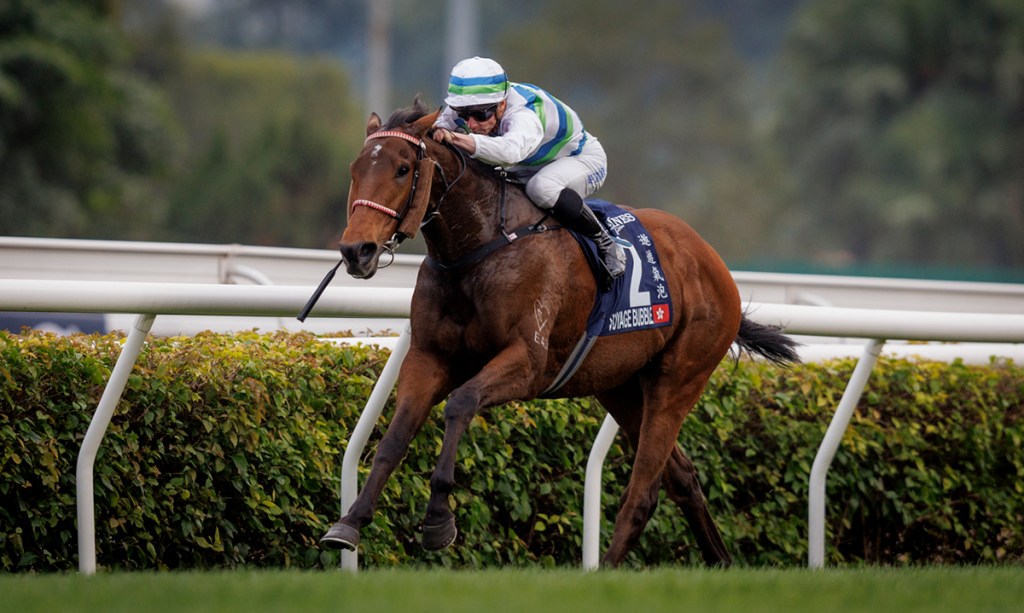 香港一哩錦標，遨遊氣泡力保招牌