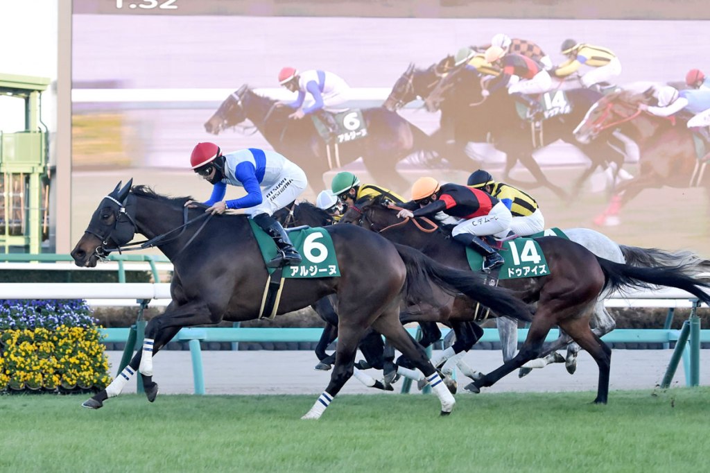 每日賽馬晚報（2024年12月14日），🇦🇪🇭🇰沈集成週五美丹現身，🇯🇵黃金船種費破自己身高