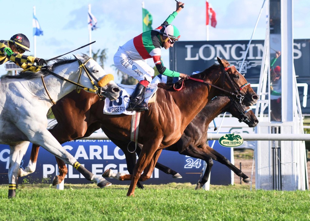 每日賽馬晚報（2024年12月15日），🇯🇵岩田康誠被捉到不當用手機，🇦🇷衝擊我心贏出卡洛貝齊大賽