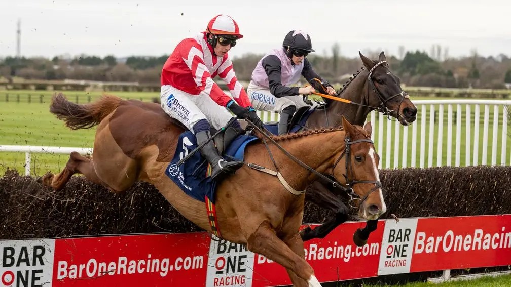 每日賽馬晚報（2024年12月17日），🇯🇵Admire Zoom集中一哩路線，🇭🇰魔術控制搶金鑽貴人風頭