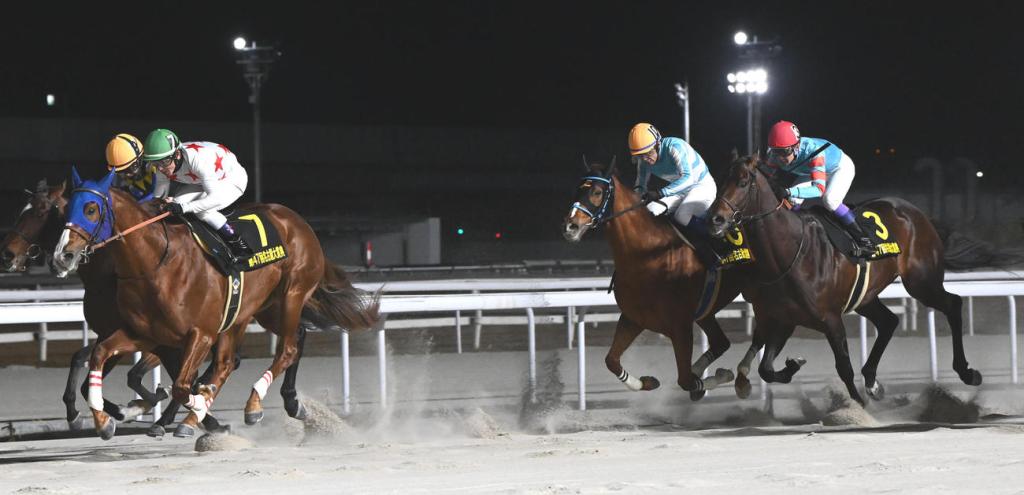 每日賽馬晚報（2024年12月19日），🇺🇸美國草地錦標獲升格一級賽，🇯🇵清爽口味即成達利日本主力種馬