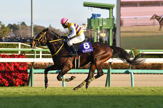 JRA 高木厩舎 NISHINO DAISY 第145回 中山大障害 JGI 中山大障害】ニシノデイジーの時代到来！転向4戦目でJ・G1初
