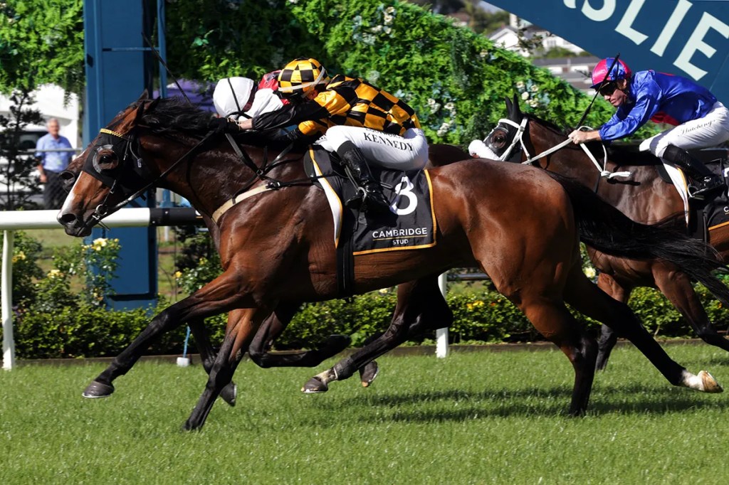 每日賽馬晚報（2024年12月26日），🇬🇧暢如行雲返英國備戰，🇳🇿Snazzytavi單挑擊敗麗灣贏一級賽