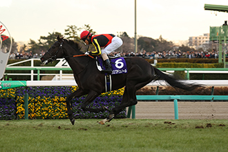 希望錦標，Croix du Nord能否成三歲實力馬？