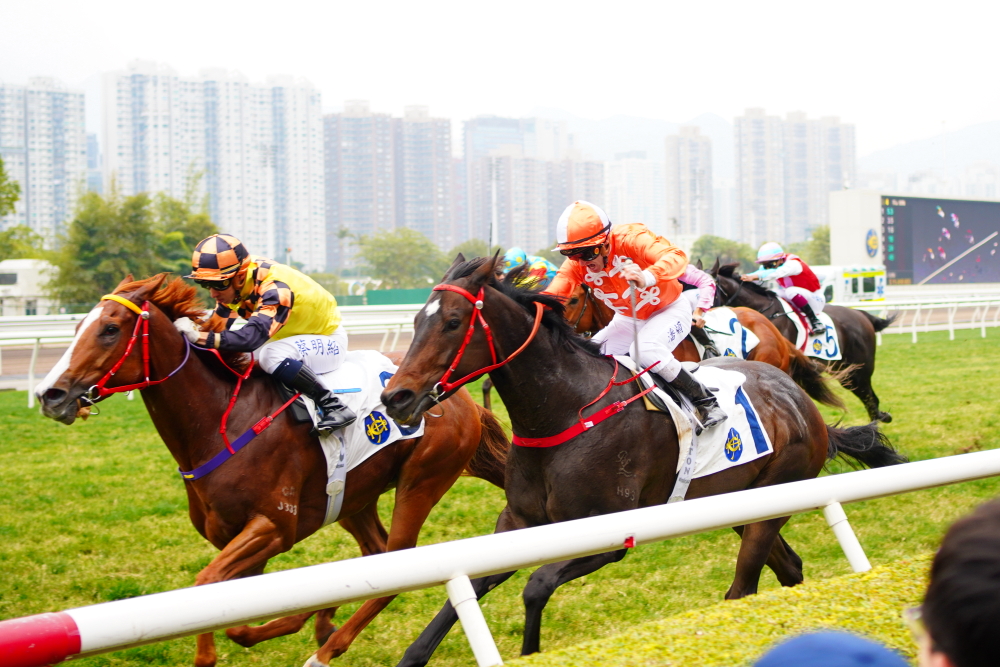 洋紫荊短途錦標，嫡愛心控制魔術