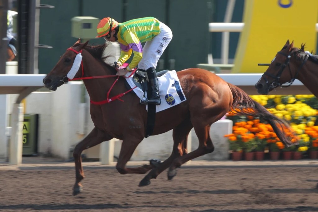 知足常樂高多芬一哩賽的突圍機會有多少？