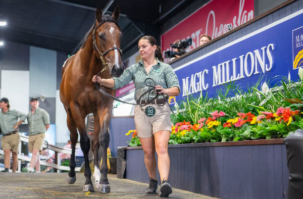 每日賽馬晚報（2025年1月7日），🇺🇸🇸🇦寶礦獅山挑戰沙地盃，🇦🇺🇺🇸Resolute挑澳洲良血馬