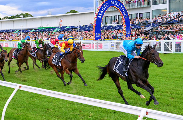 每日賽馬晚報（2025年1月17日），🇳🇿小法寶三代同堂入選殿堂，🇦🇺O’Ole贏出神奇百萬兩歲馬經典賽