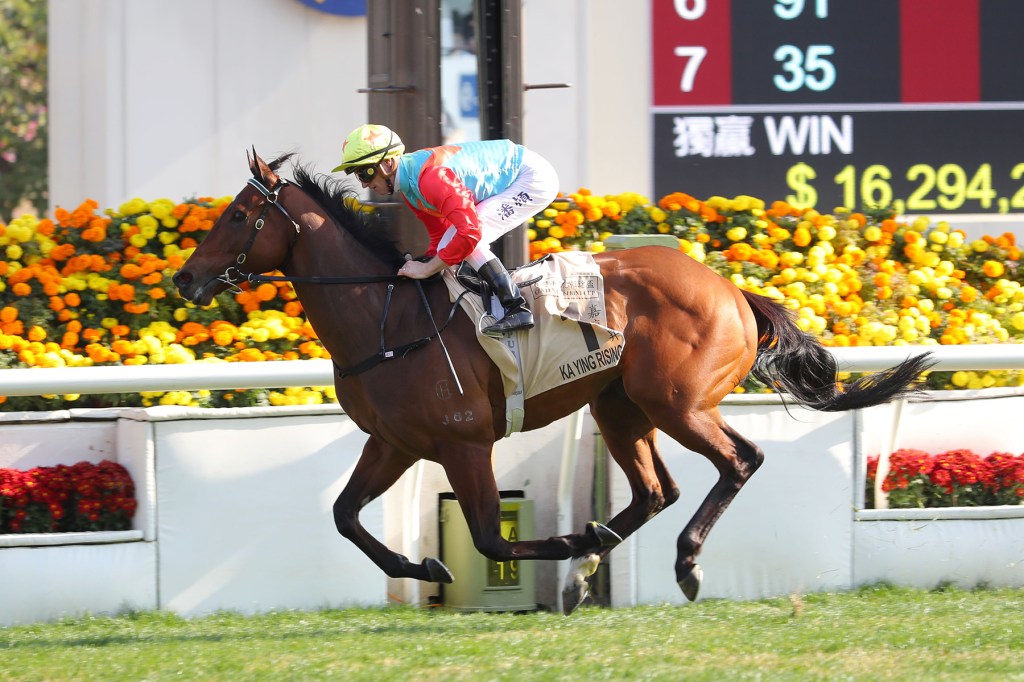 百週年紀念短途盃，嘉應高昇再破自己紀錄