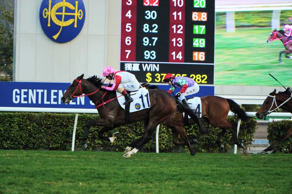 優才可否替葉楚航燉多個打吡冠軍