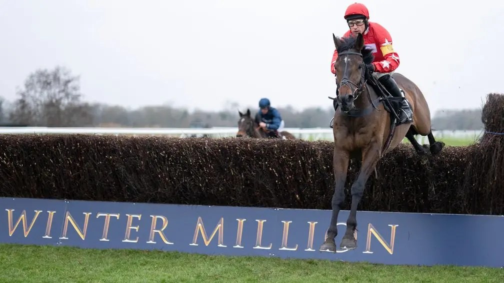 每日賽馬晚報（2025年1月20日），🇭🇰🇦🇪香港賽馬會搶先公佈杜拜世界盃賽馬日報名馬名單，🇺🇸飛馬世界盃Locked挑戰小村白馬