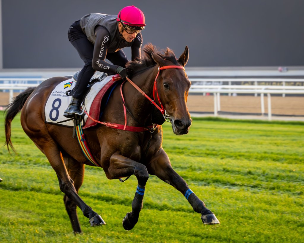 2025年1月25日麥通挑戰賽馬日推介