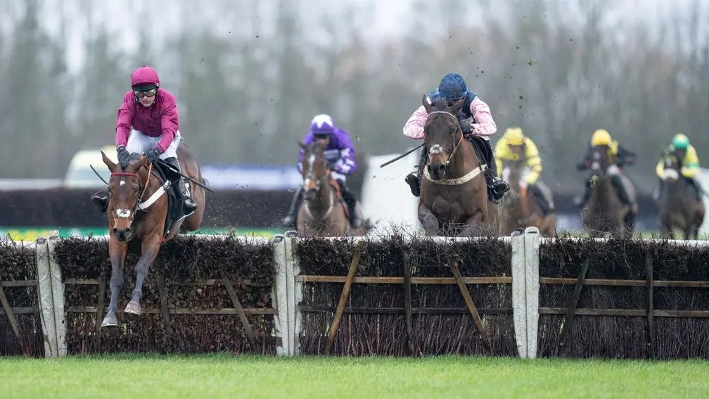 每日賽馬晚報（2025年1月24日），🇯🇵博物街有意挑戰三冠路線，🇬🇧罕貴金屬跳欄賽初出贏馬