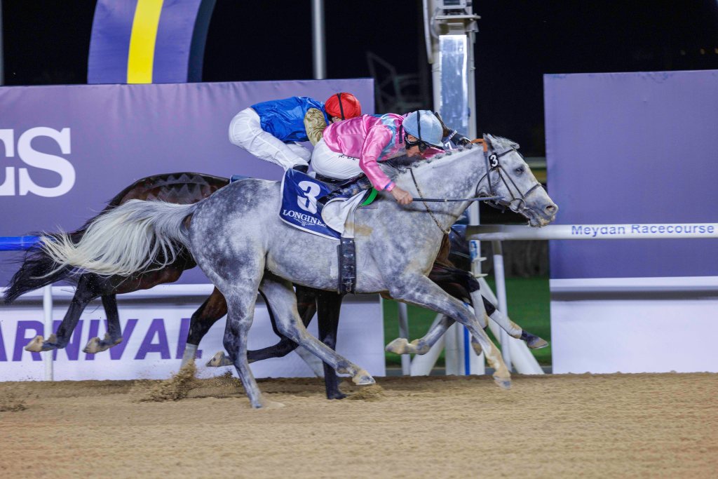 杜拜世界盃嘉年華時尚賽馬日，月桂河腳軟敗陣，天空之鏡繼續大勝