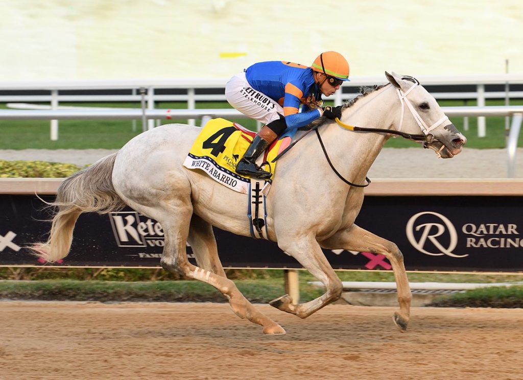 飛馬世界盃，小村白馬復活大勝