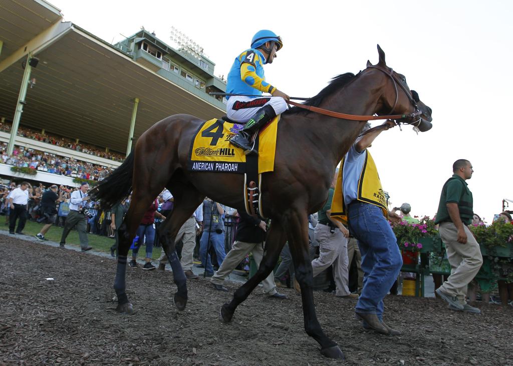 歷史名駒系列，38年再現三冠的美式法老美式法老