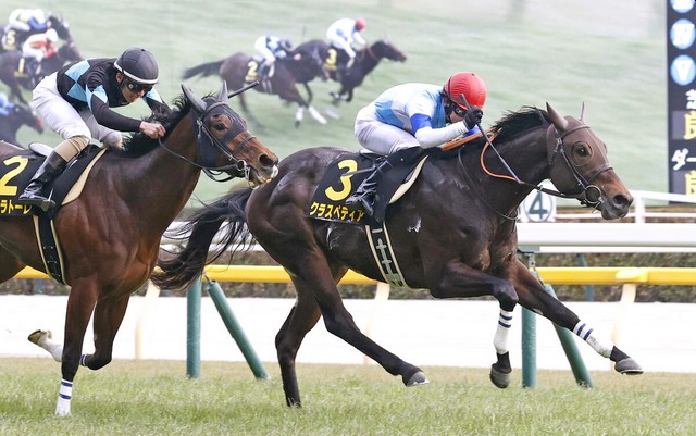 每日賽馬晚報（2025年2月1日），🇬🇧🇦🇺郗國思挑選兩駒南下澳洲，🇯🇵Craspedia破格於表列賽取下首勝