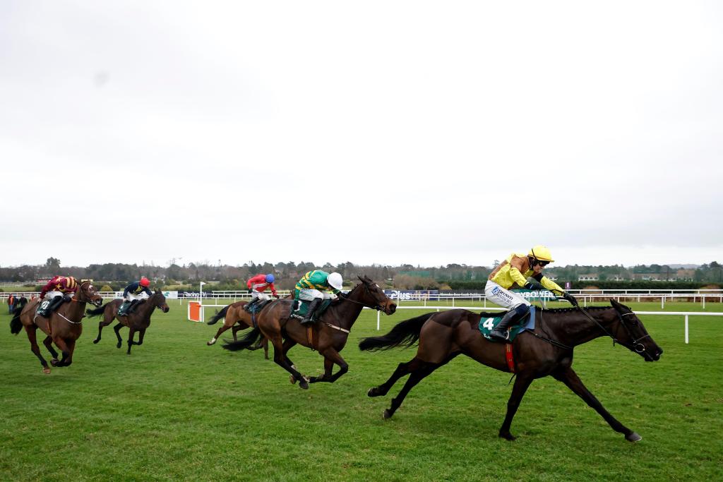 每日賽馬晚報（2025年2月2日），🇮🇪Galopin des Champs愛爾蘭金盃三連霸，🇺🇸Citizen Bull僅打一鞭輕取三級賽