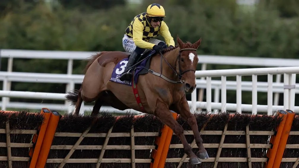 每日賽馬晚報（2025年2月6日），🇯🇵浪漫勇士公仔有得夾，🇮🇪🇬🇧莫威利無懼Constitution Hill