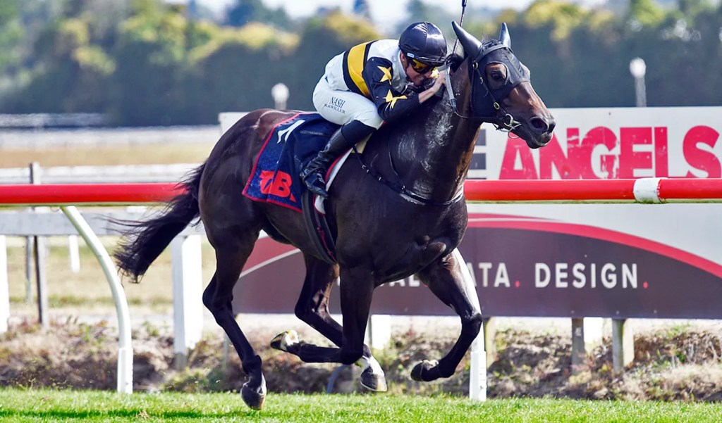 每日賽馬晚報（2025年2月8日），🇯🇵🇦🇪Sunday Racing率先公佈兩駒獲邀參加杜拜世界盃賽事，🇳🇿澳洲馬紐西蘭一級賽撼天震地