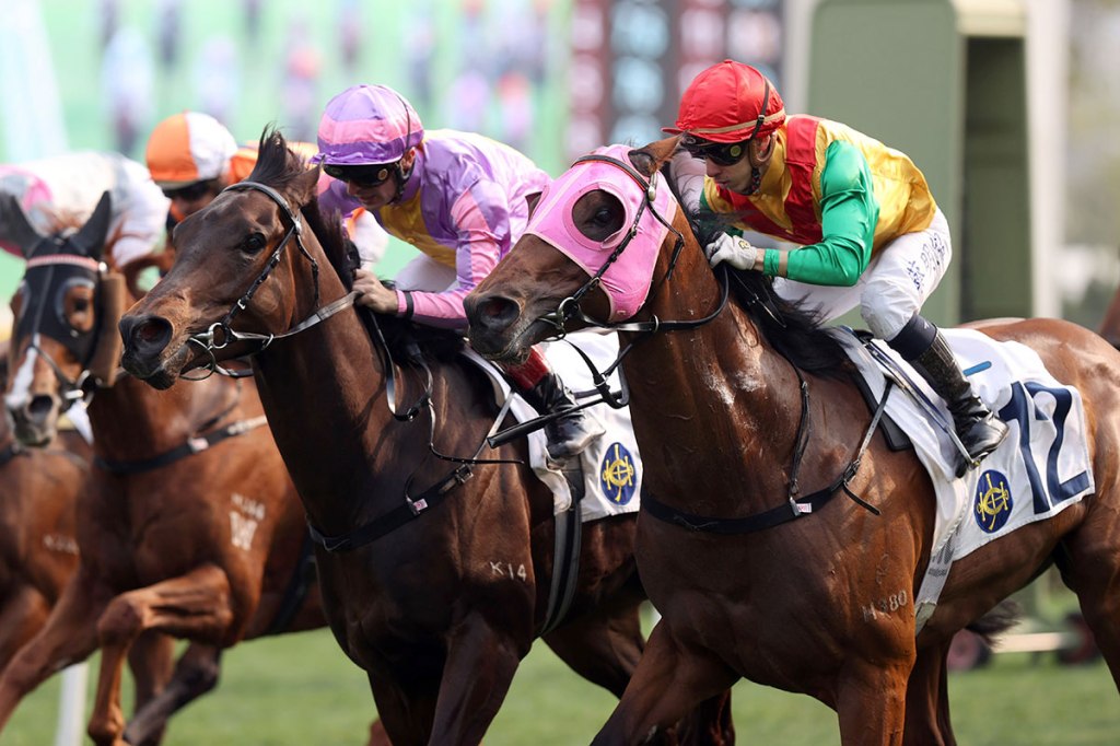 2025年3月2日賽馬日（10場田草泥混合、B跑道）