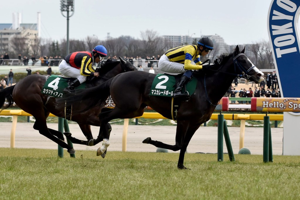 2025年11月2日育馬者盃賽馬日（S2）及秋季天皇賞全場精選（S1-4有更改）